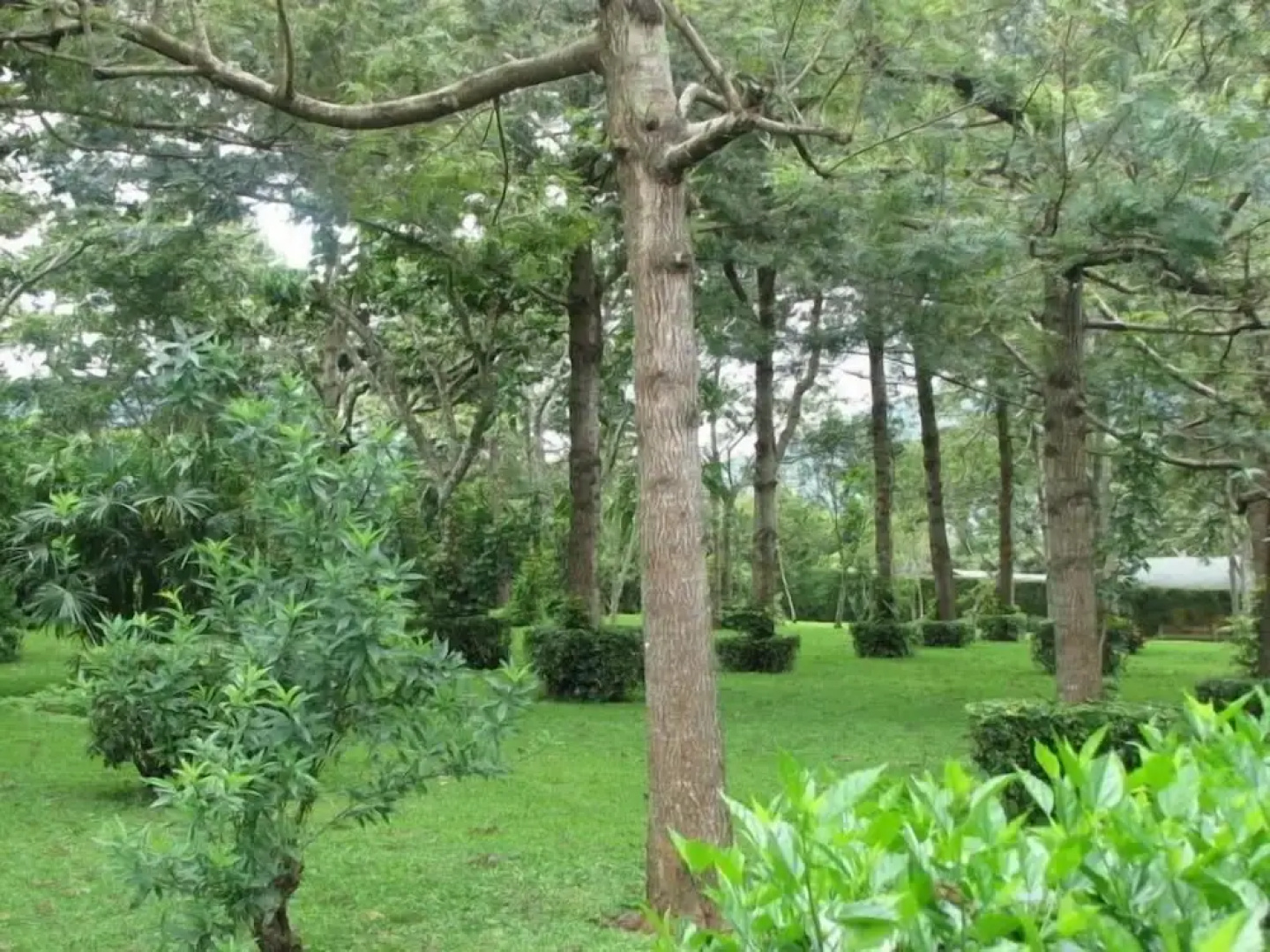 Hotel Santa Leticia