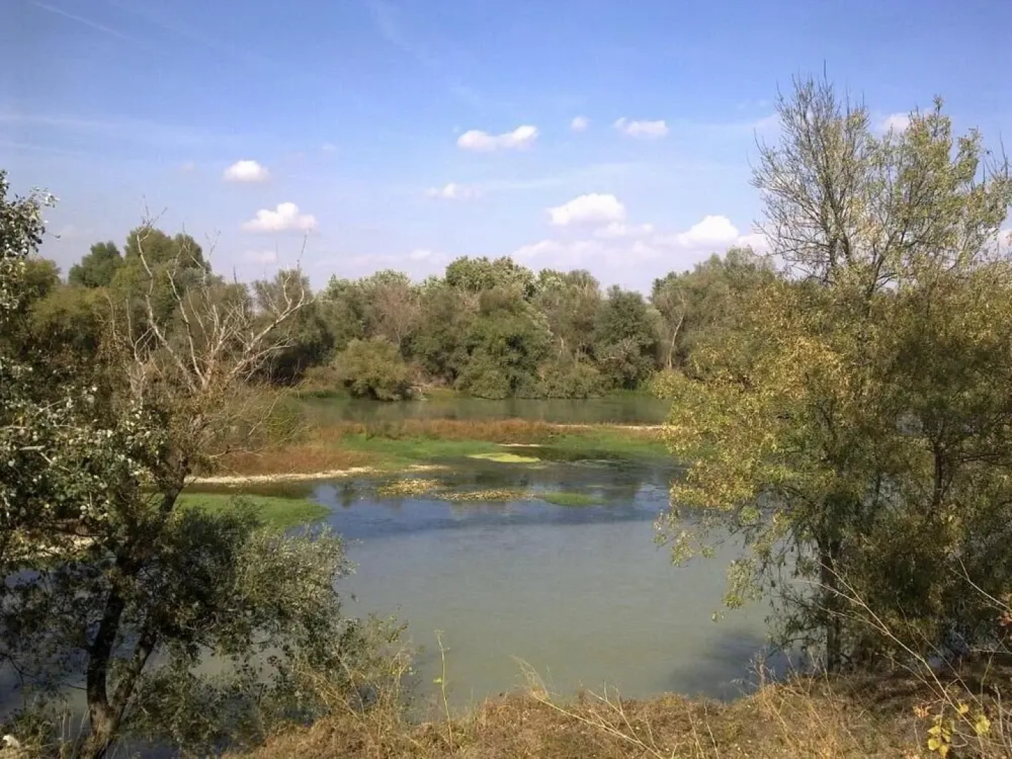 Rural House Near Zaragoza