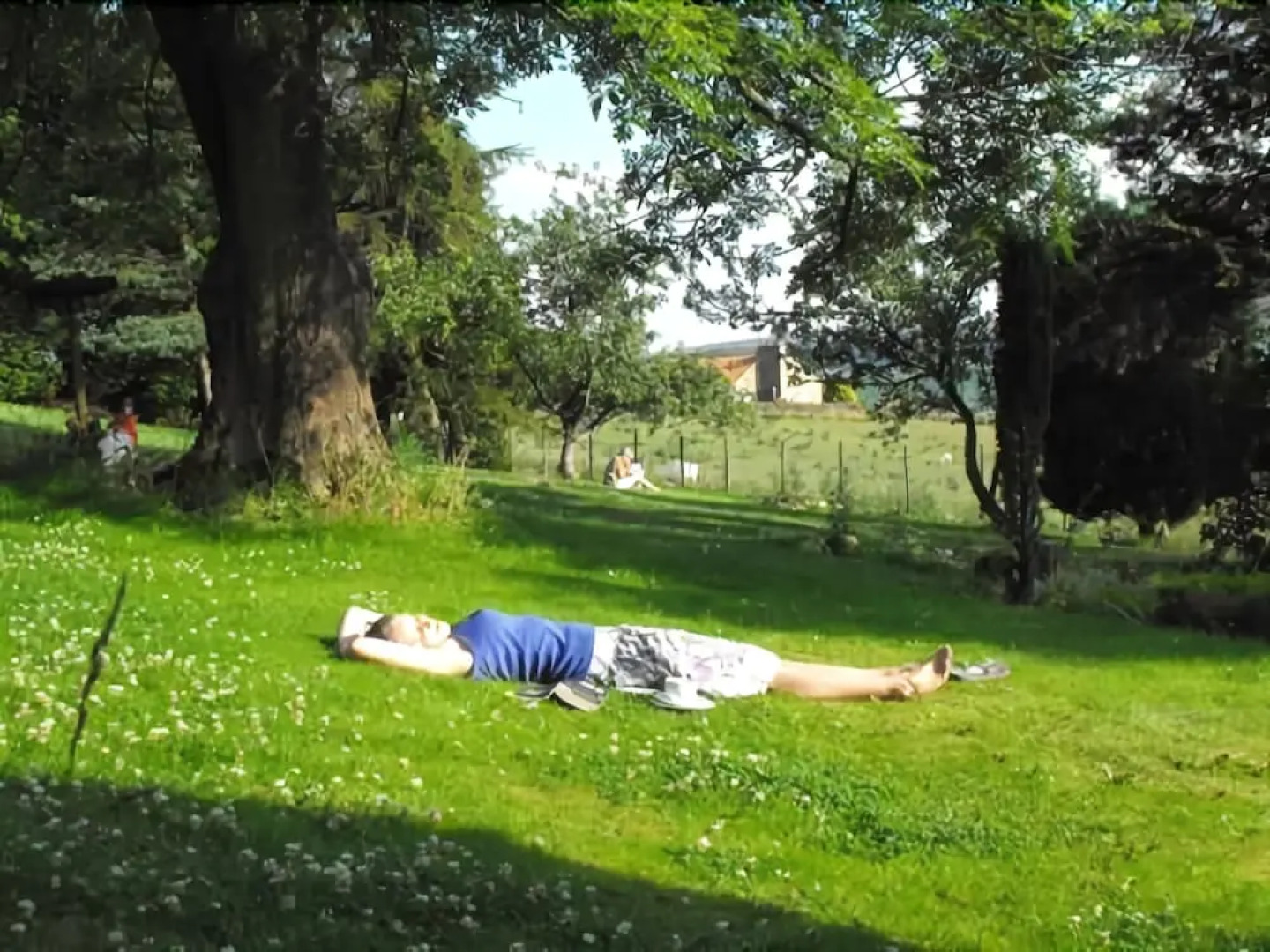 The Tree Relaxation Retreat