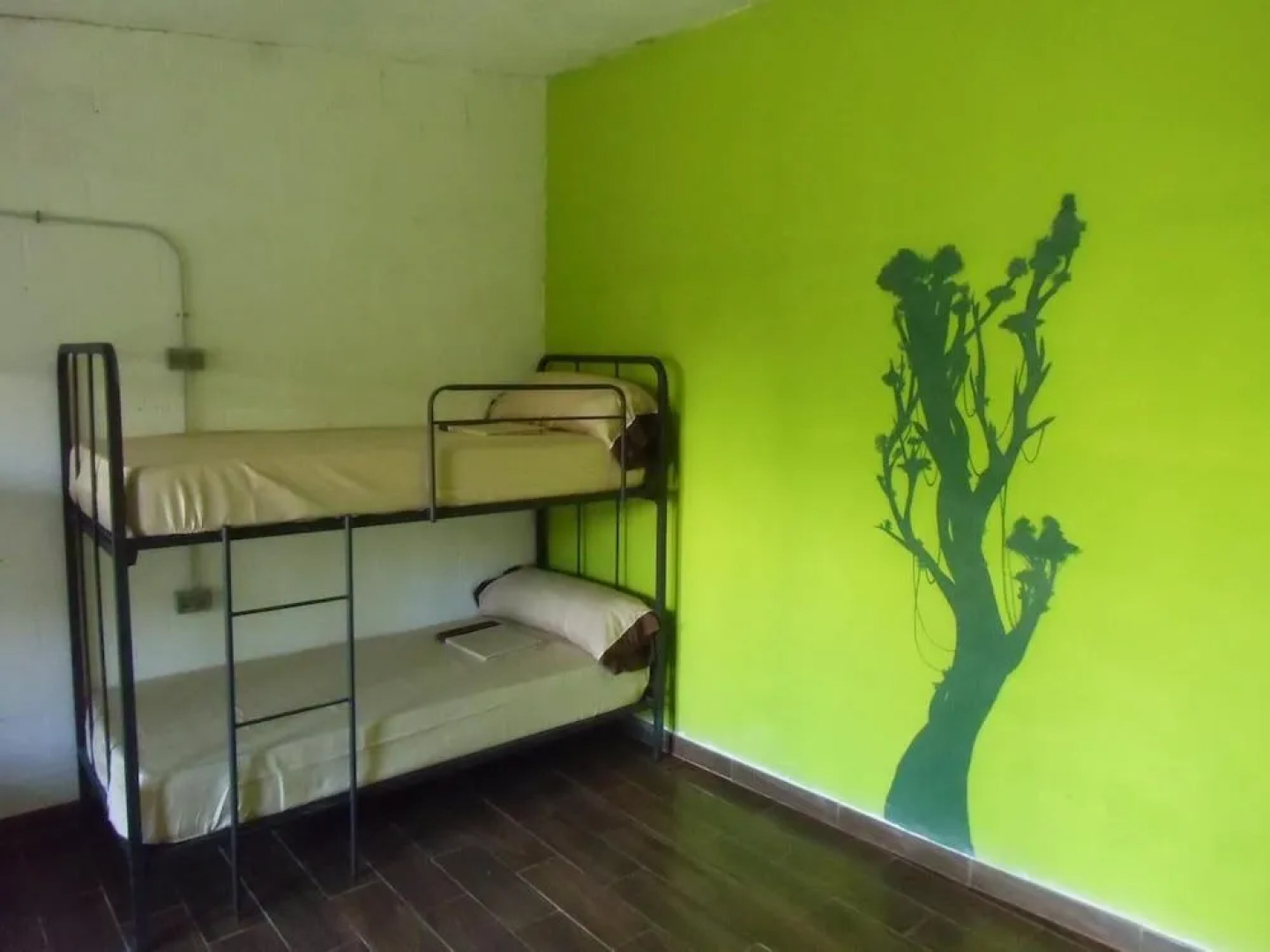 Hakuna Matata Hostel