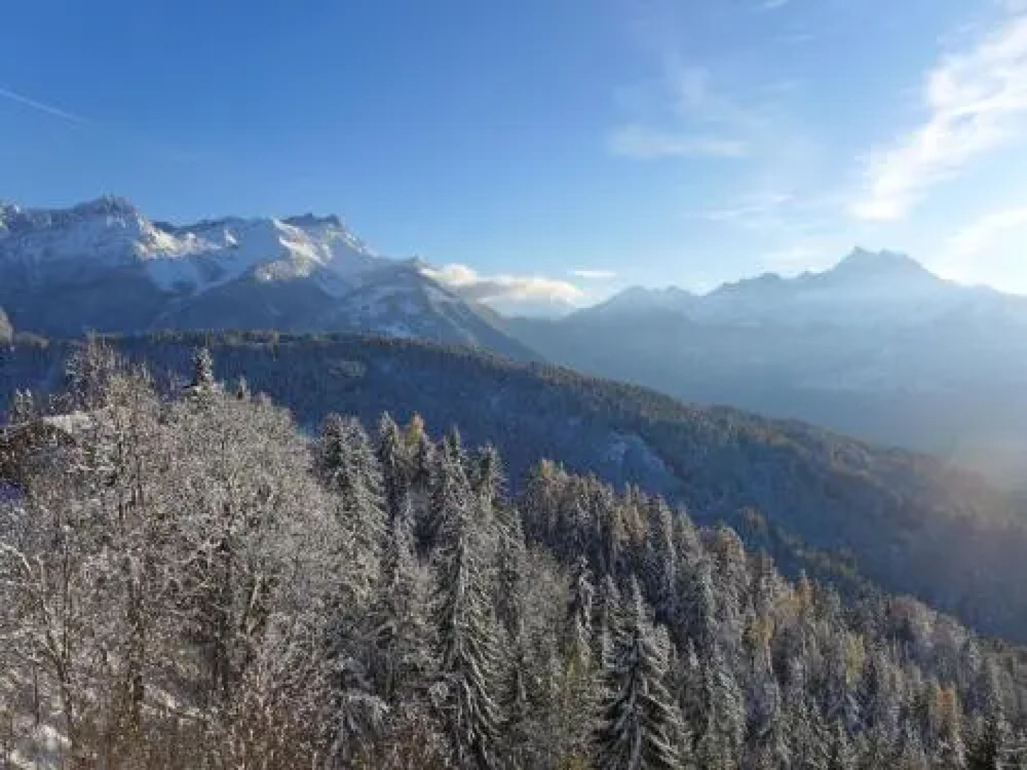 Apartment Le Bristol A54