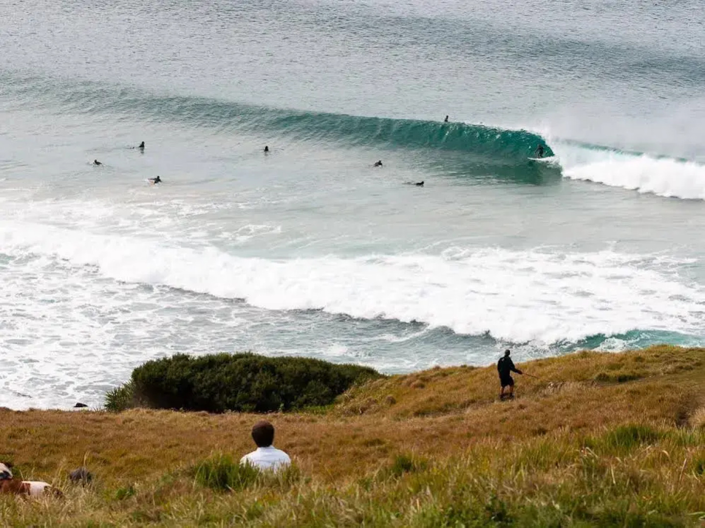 LakeSong At Lennox Head