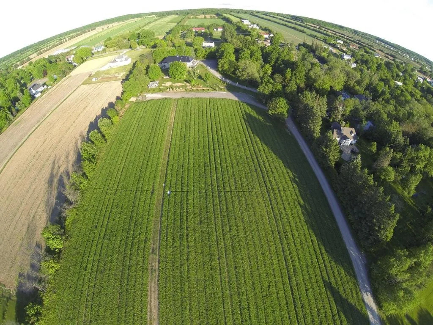 Auberge La Grange de l'Ile