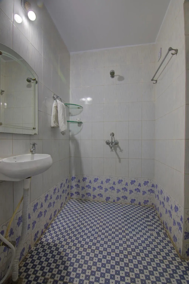 OYO Flagship 14394 Shree Palace