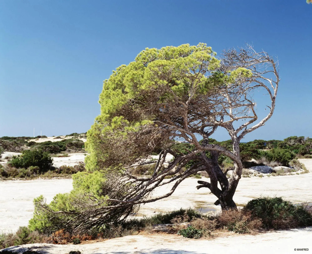 Hotel Riu Palace La Mola