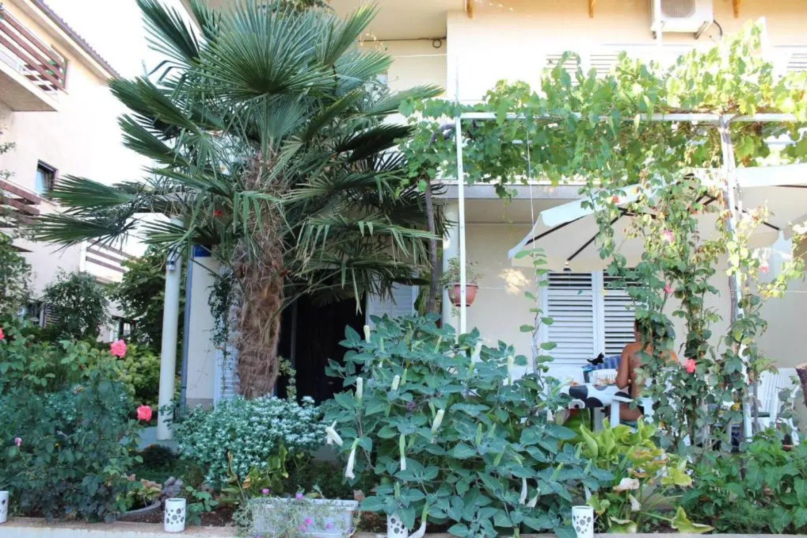 Apartments Miriam Srima