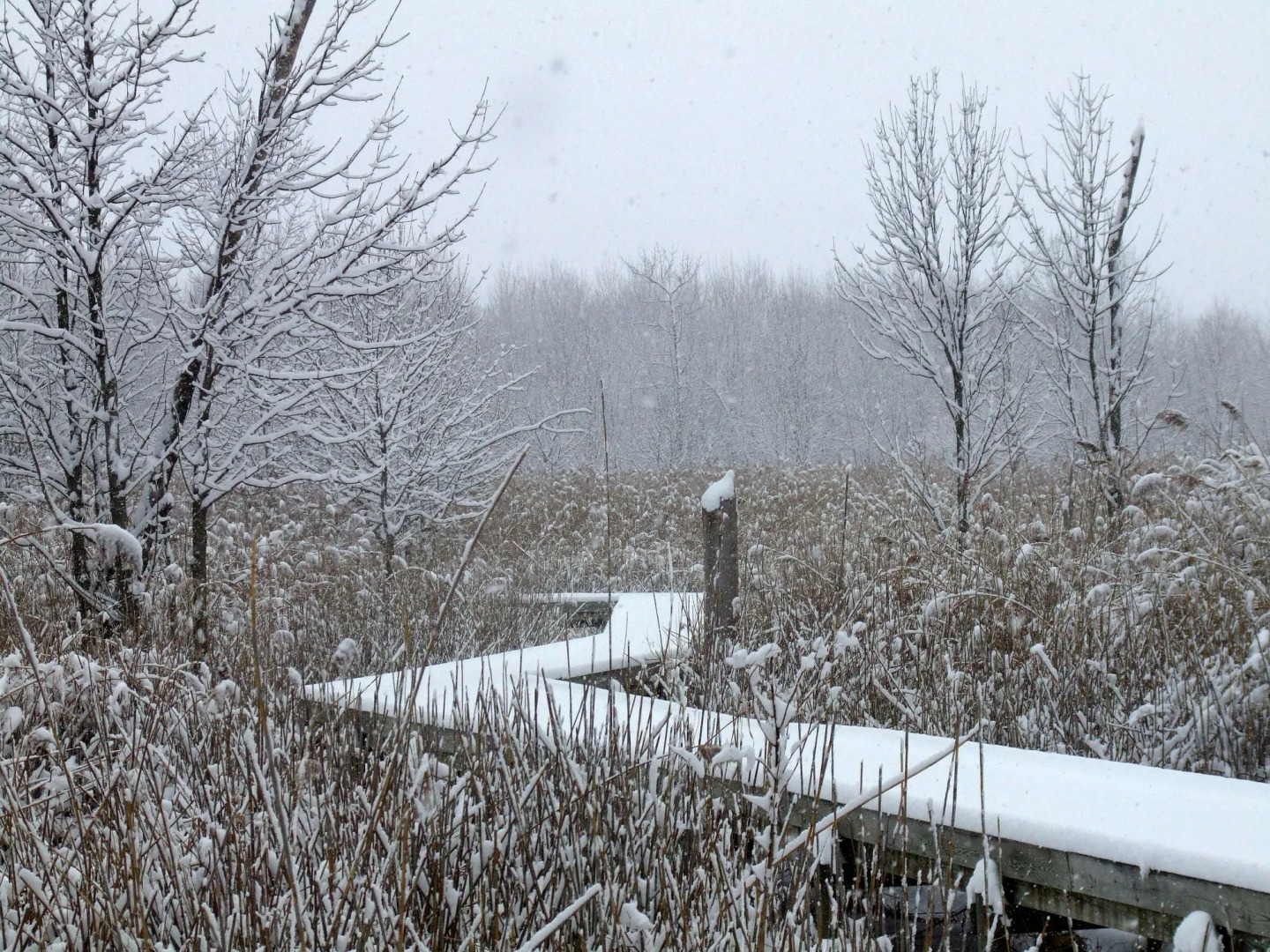 Maumee Bay Lodge and Conference Center