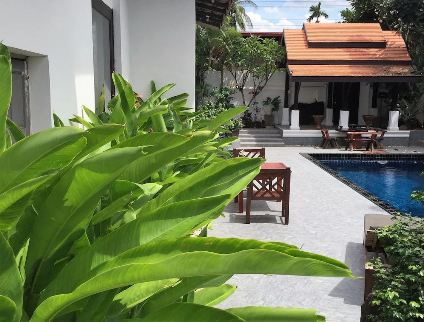 The White Elephant House