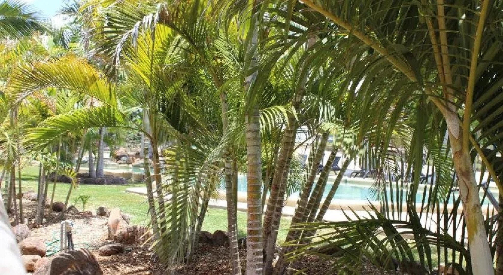 BIG4 Aussie Outback Oasis Holiday Park