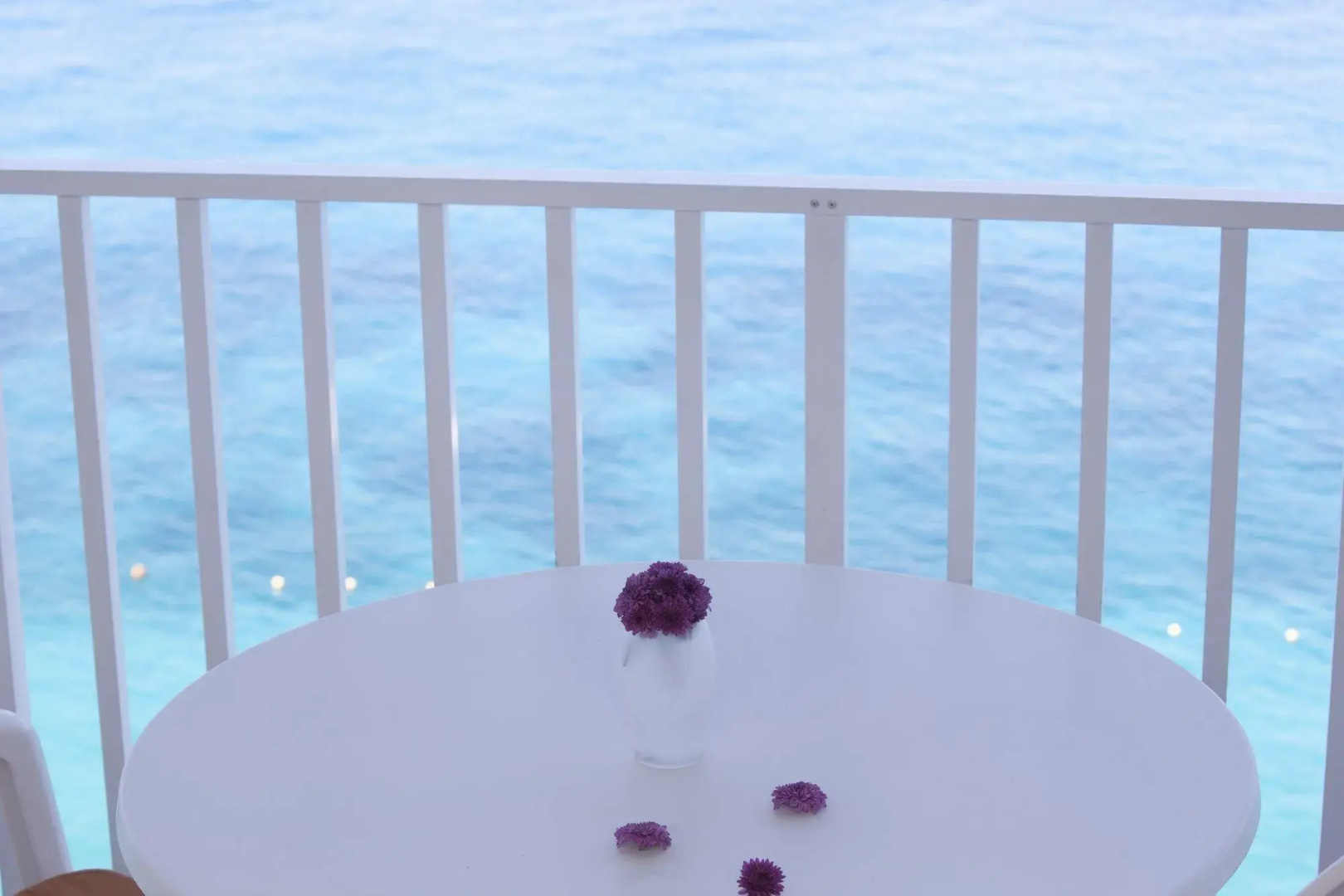Coral Princess Hotel & Dive Resort