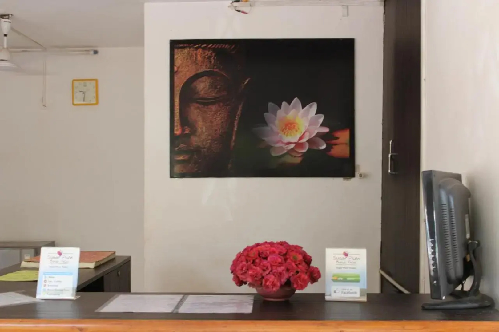 Macedo Palms Lemonmint