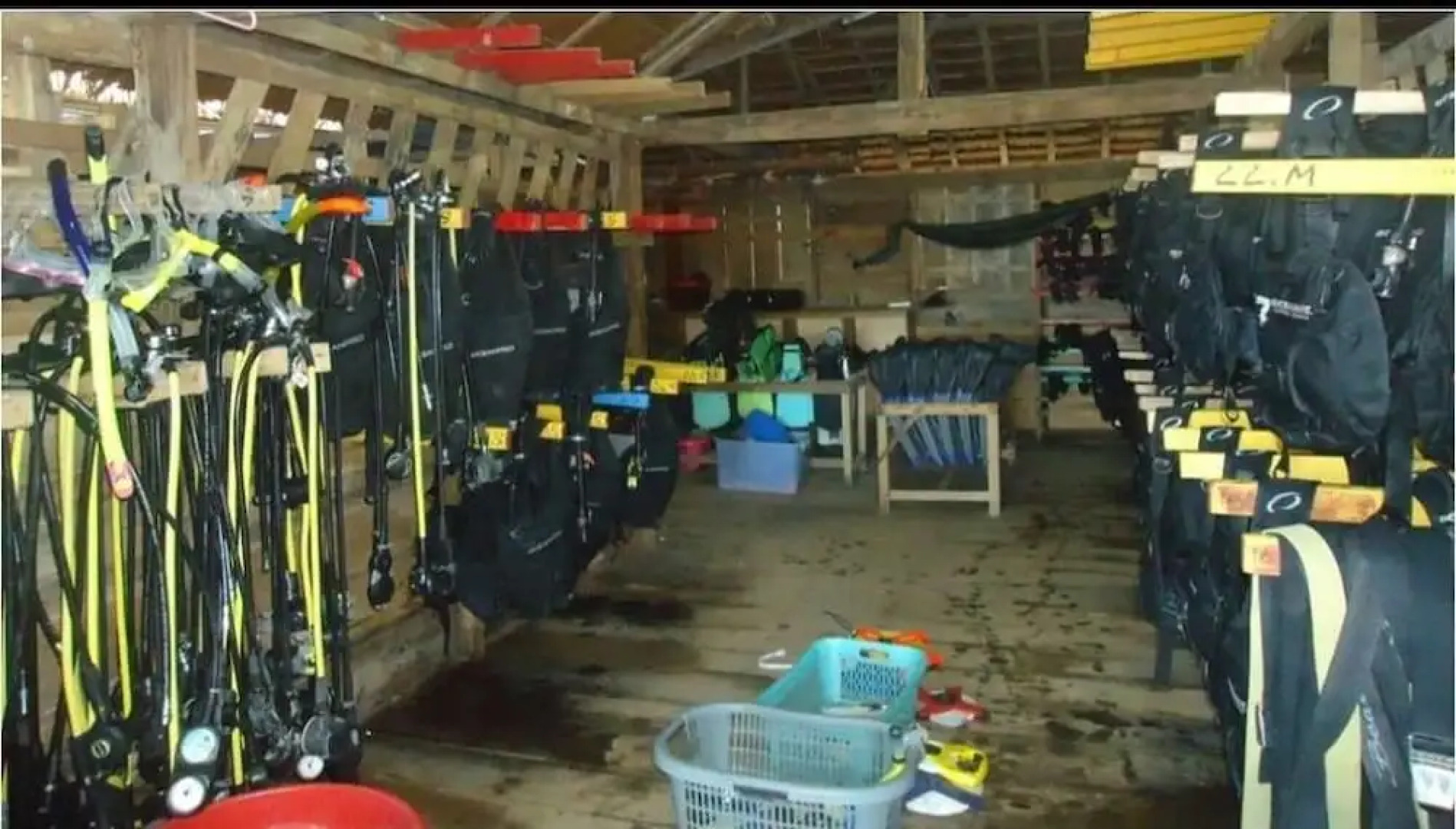 Hoga Island Dive Resort Wakatobi