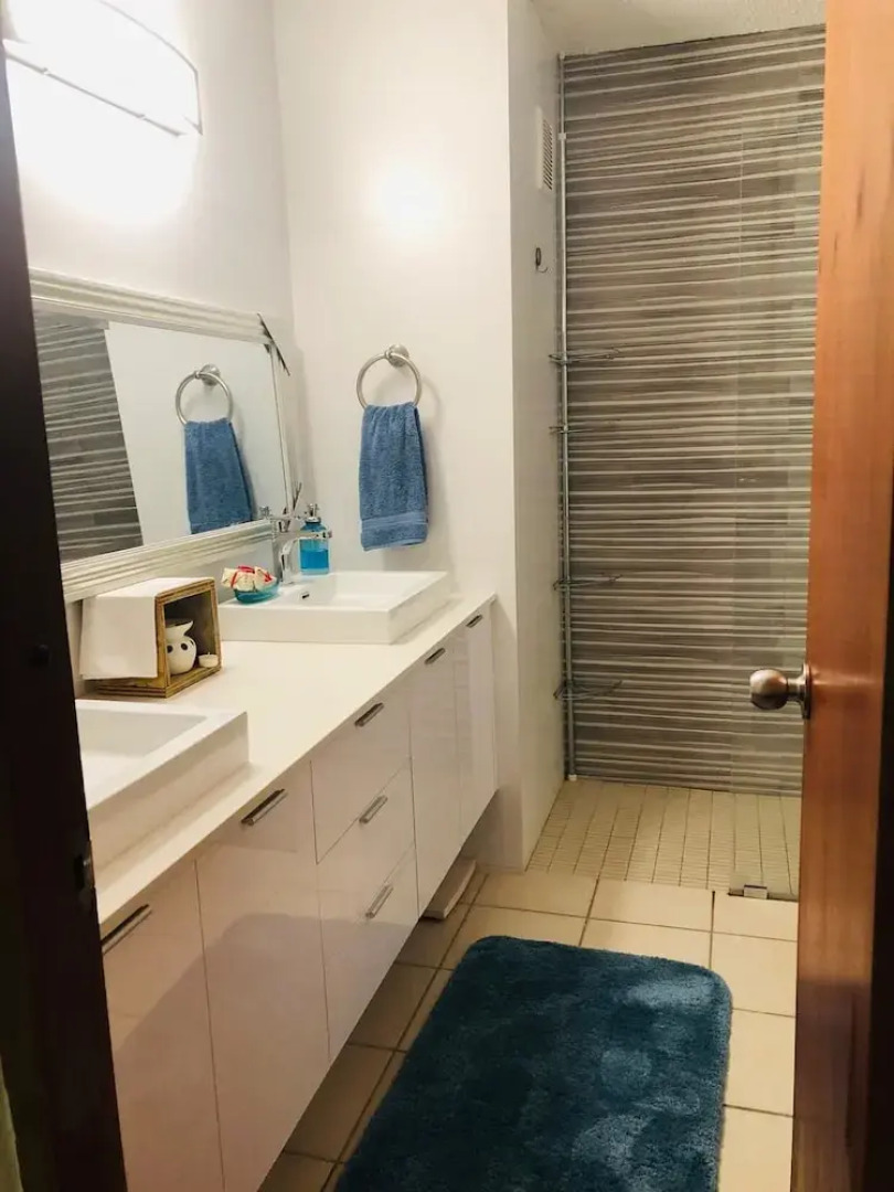 Suburb Pethouse Apartment