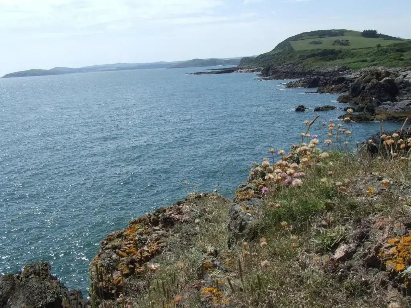 Clonyard House Hotel