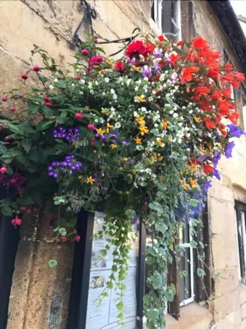 The Bantam Tea Rooms & Guest House