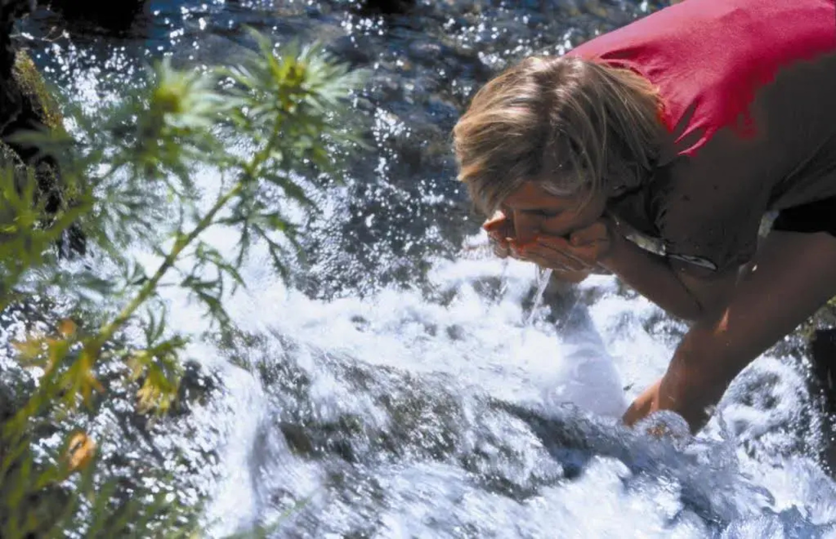 Gasthof-Pension Alt Kirchheim