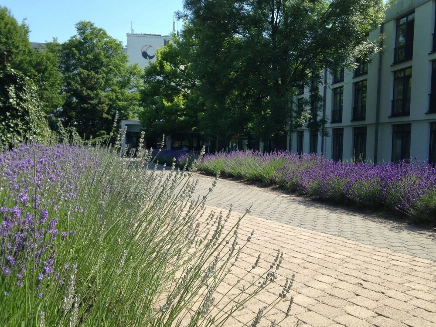 Hotel an der Therme Haus 2