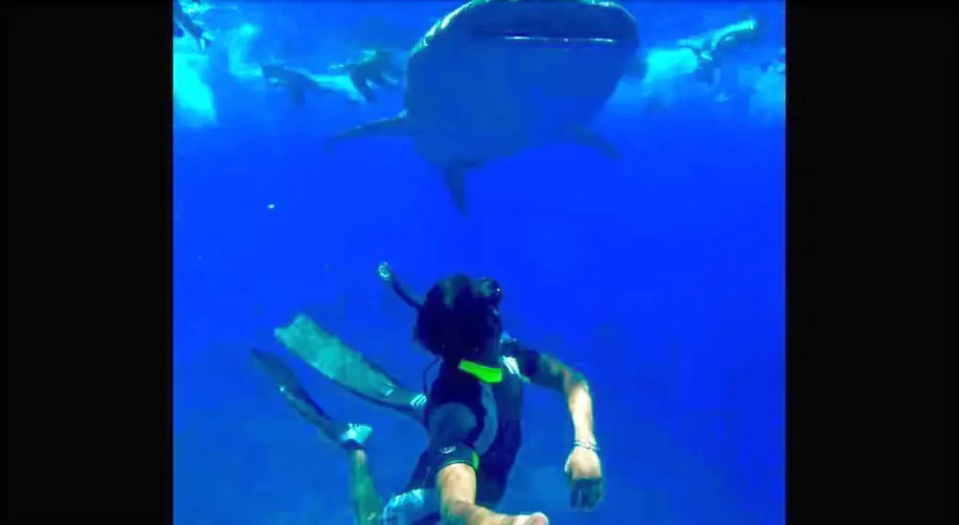 Maafushi Veli Guesthouse at Maafushi