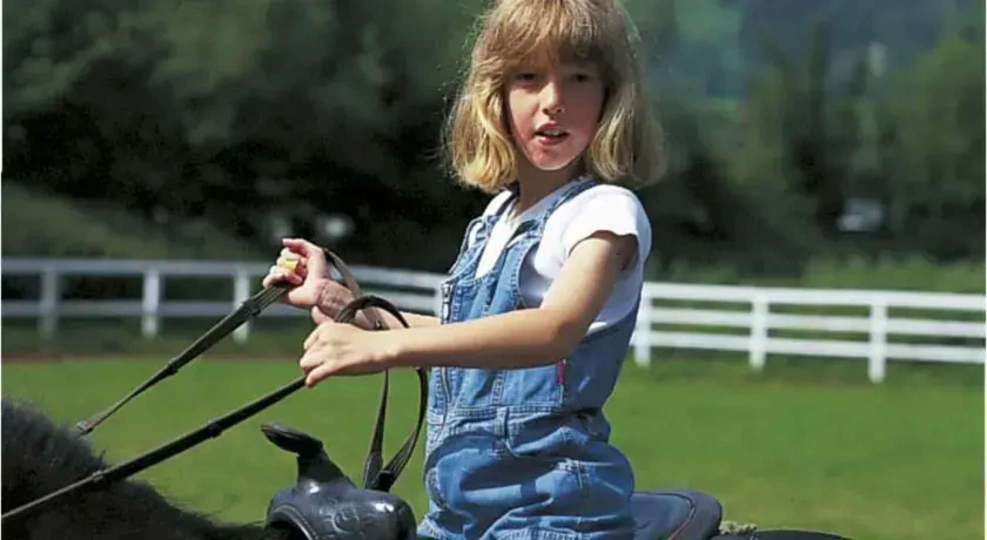 Landhaus Liechtenstein