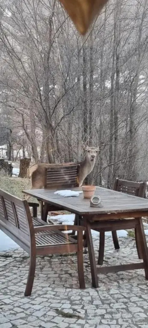 Casa vacanze al Castello