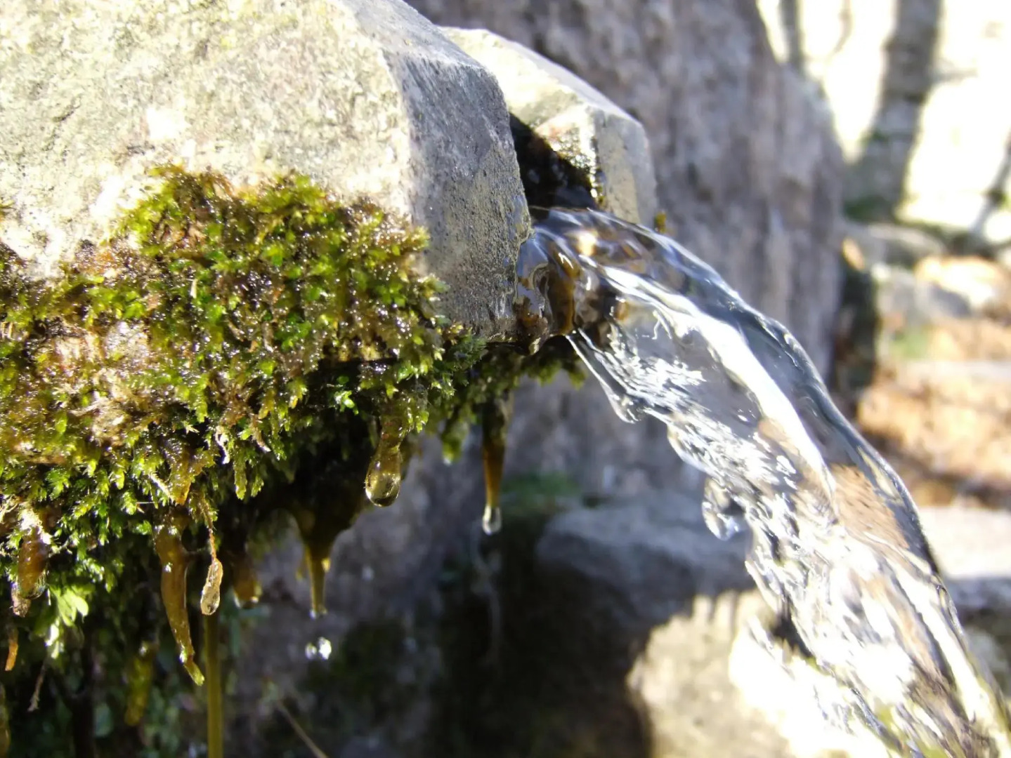 Chambres D'hôtes Littariccia