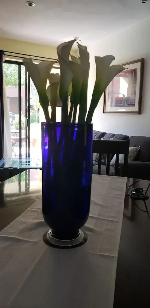 Residencial El Secreto. Casa Abedul.