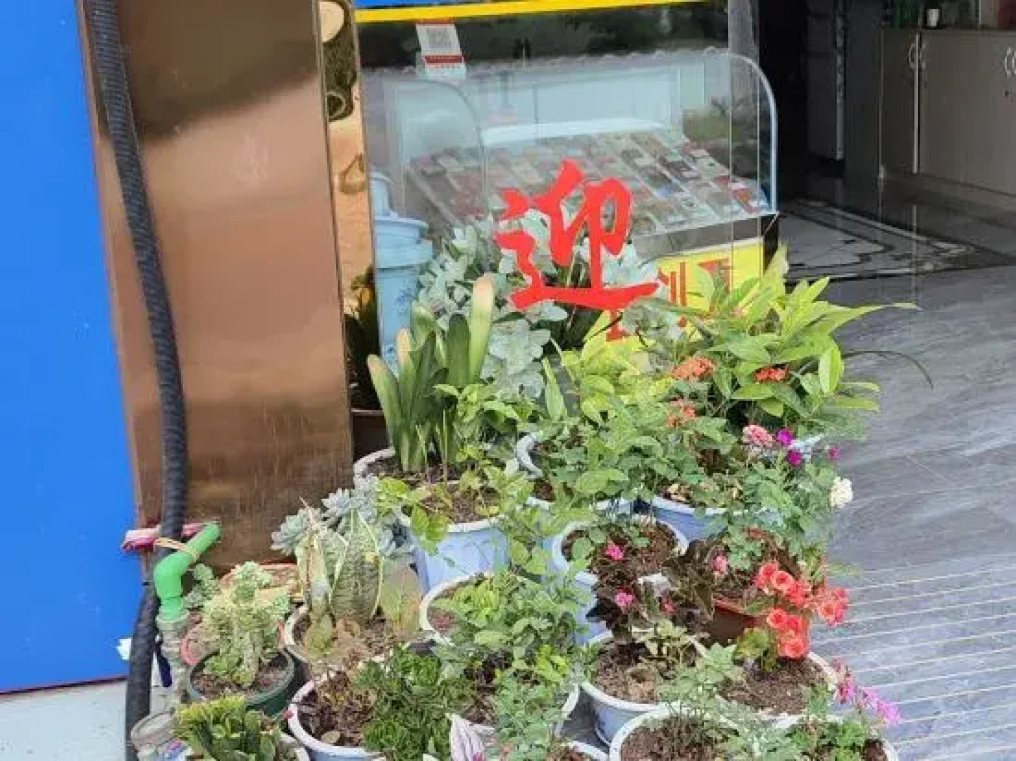 Guangnan Wangyuan Hotel