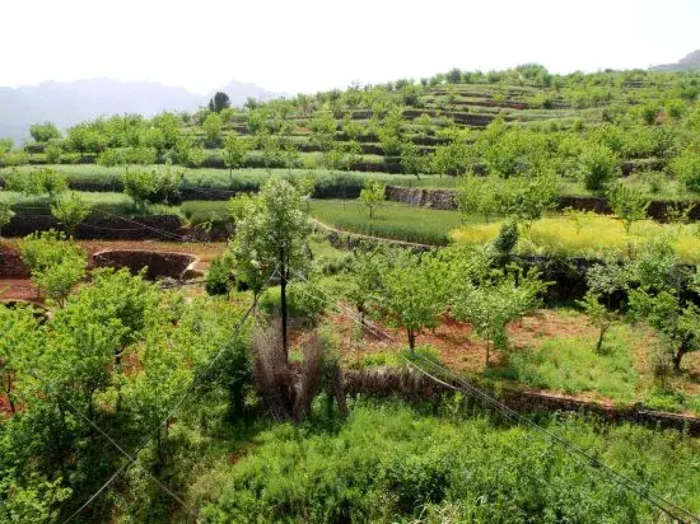 Shanyang Manchuan Chuanshan Hotel