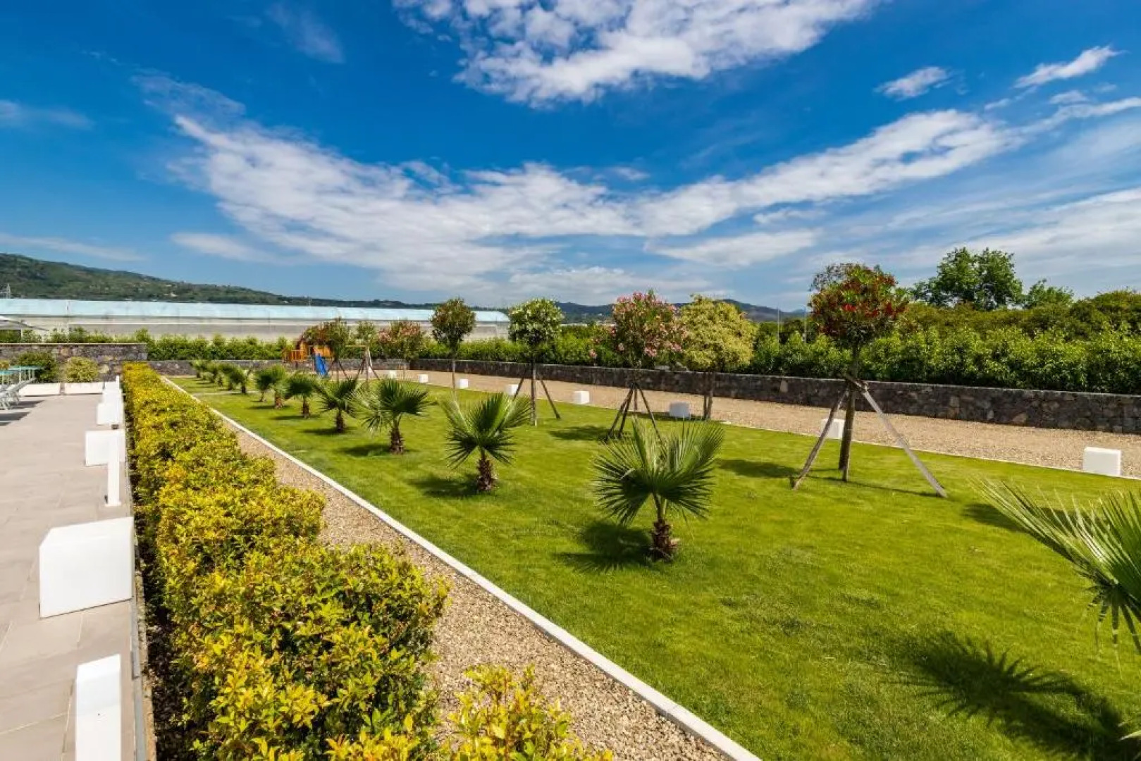 Dipladenia Garden Country House