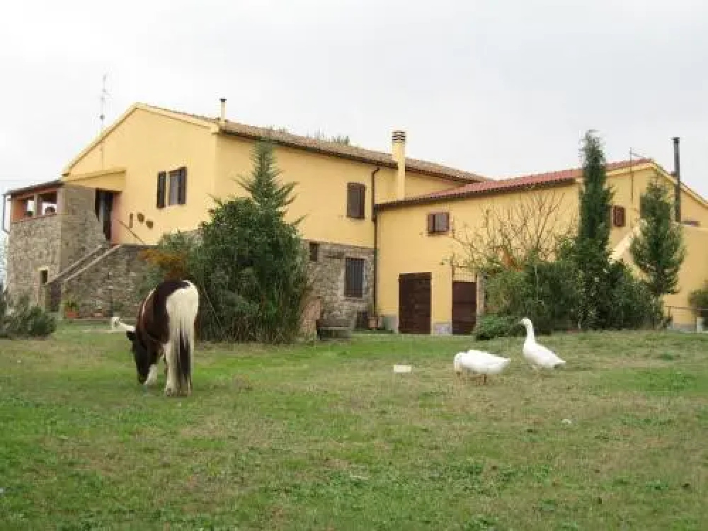 Agriturismo Casale DellAldi