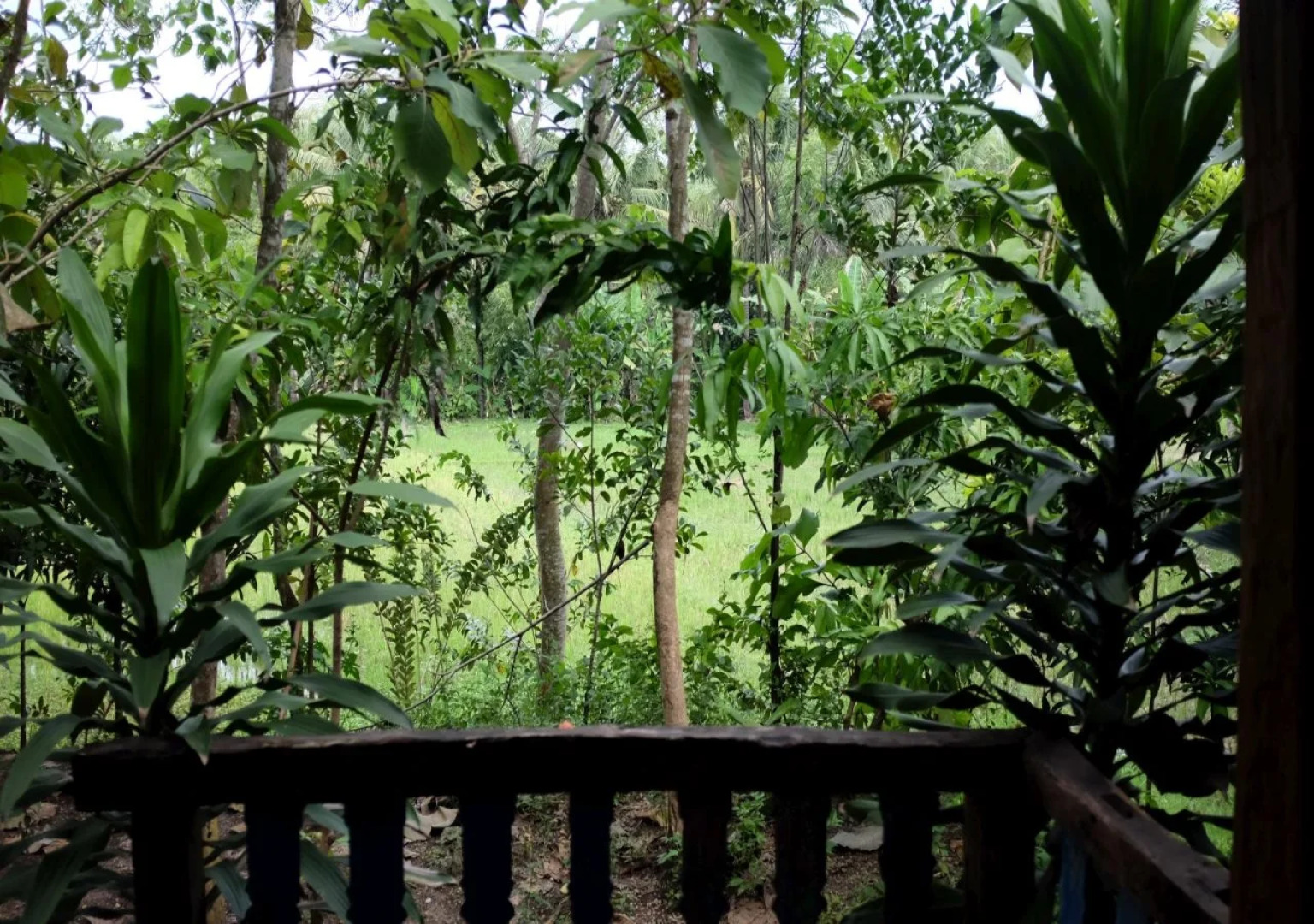 Patehan Villa Dewandaru