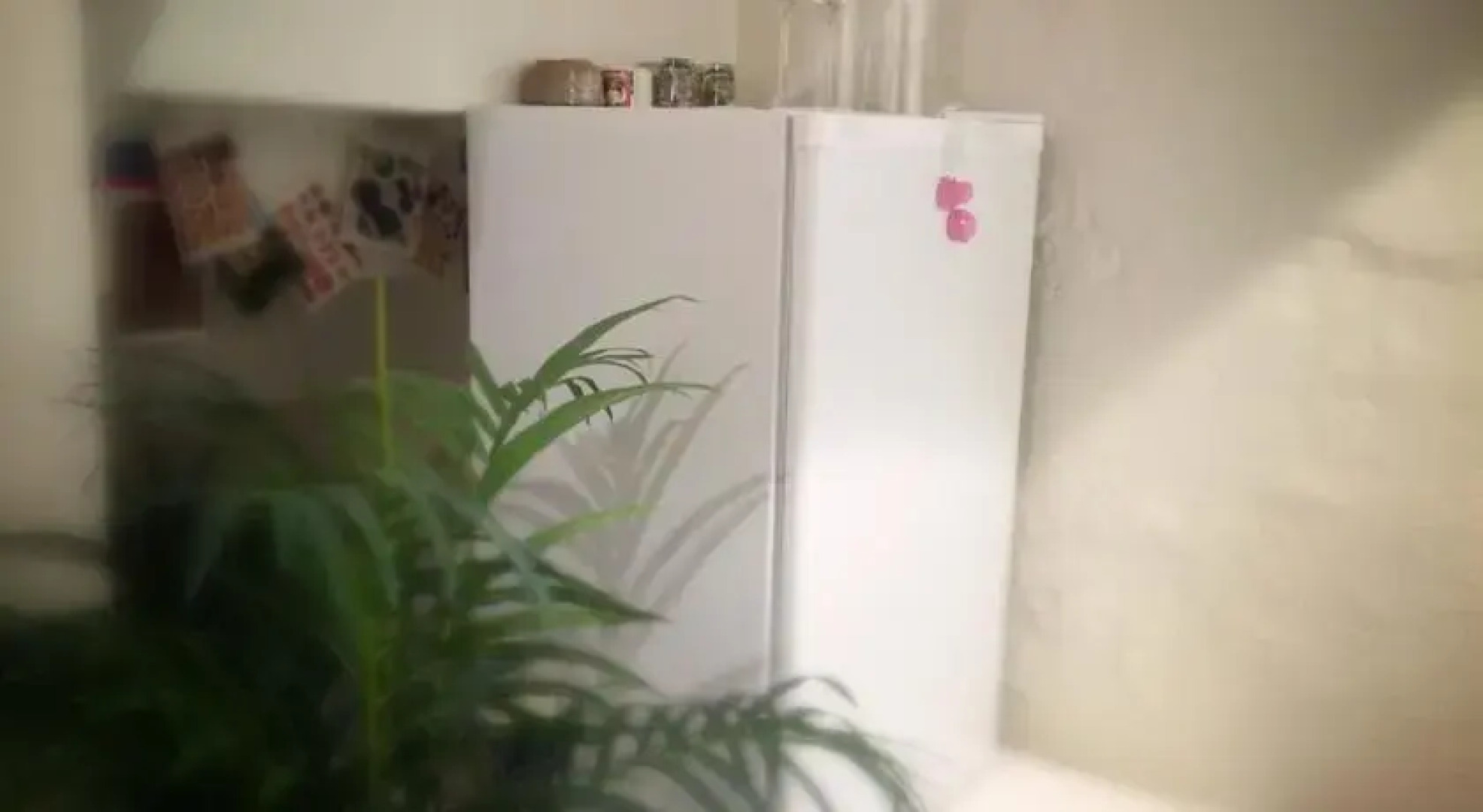 Claremont Court House