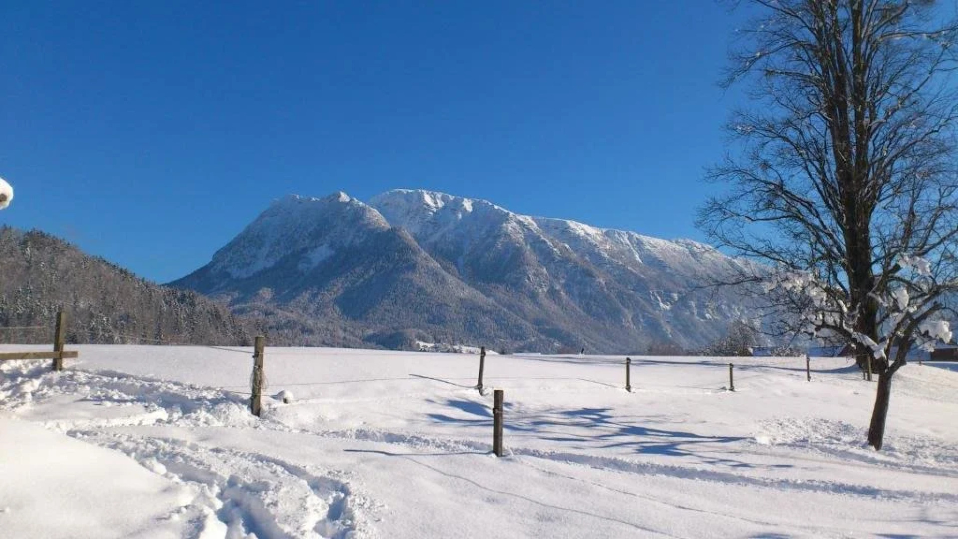 Ferienwohnung Kranhäusl