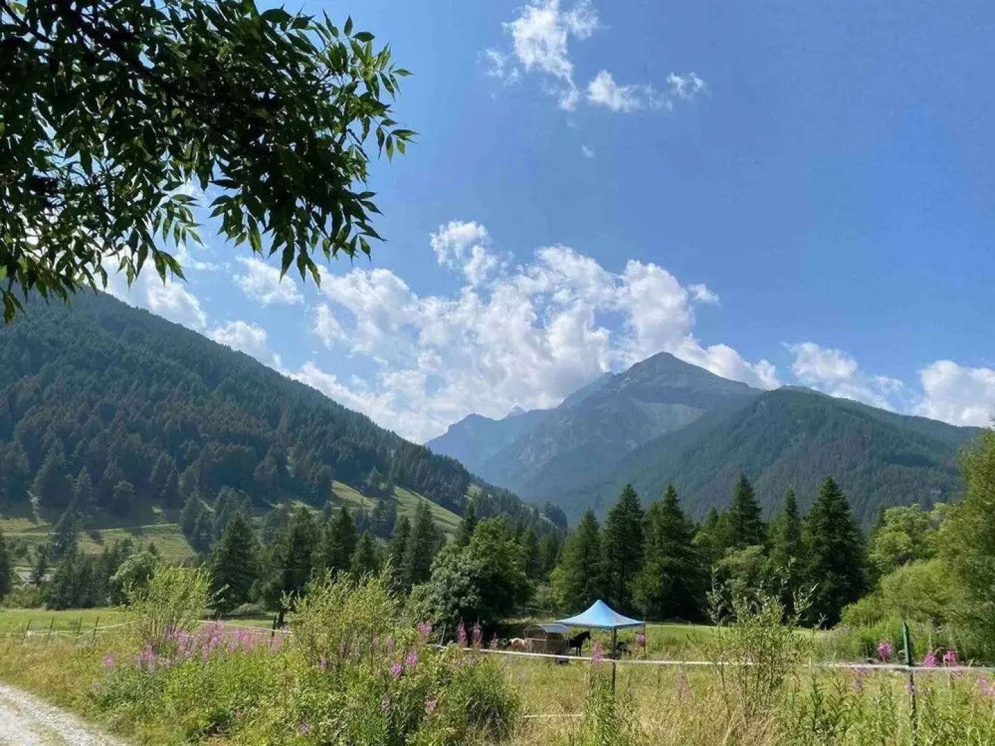 Chalet Rousinette - Val Tronce