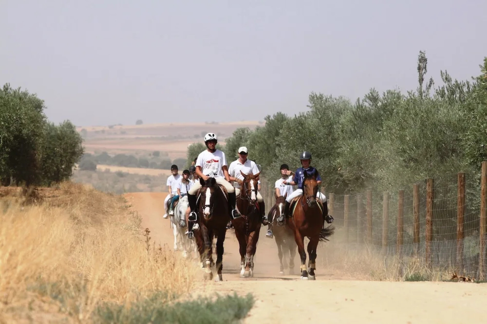 Hostel Layos, Toledo