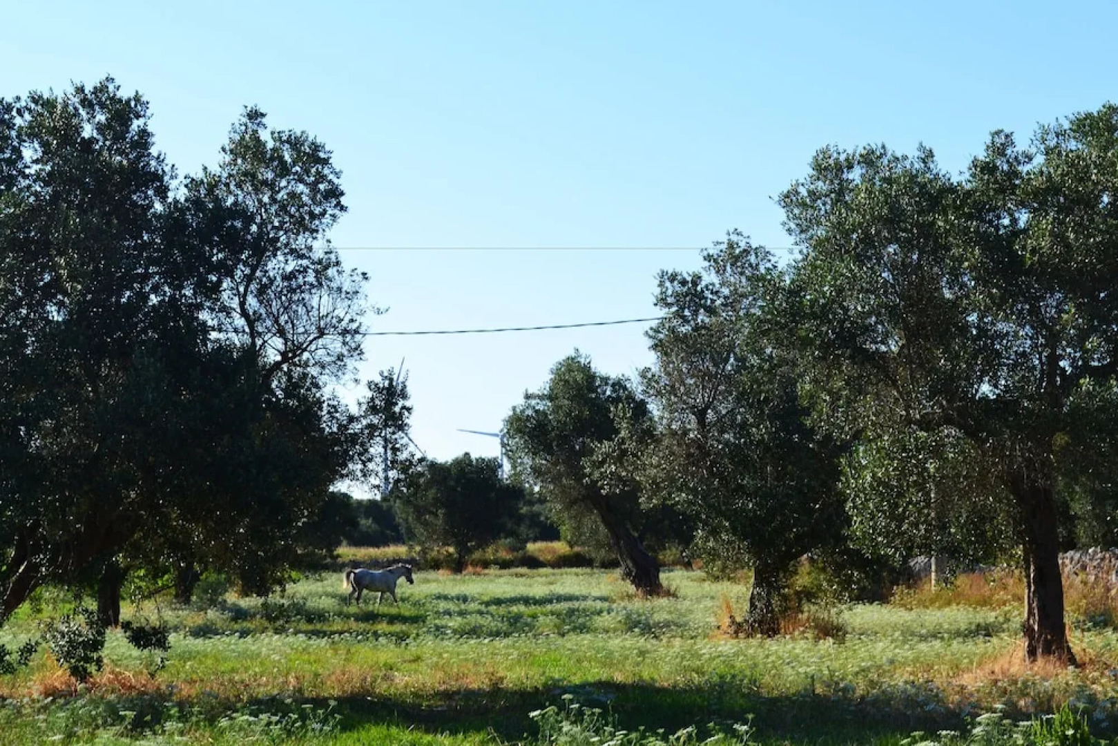 Salento Guesthouse B&B