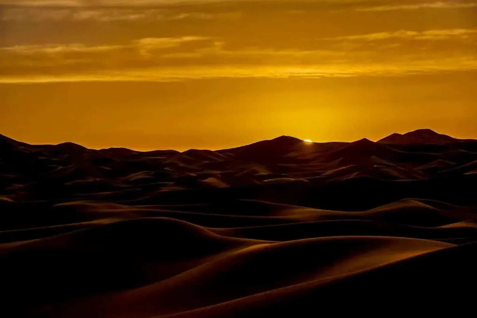 Moda Camp Merzouga - Camel Quad Sunboarding ATV