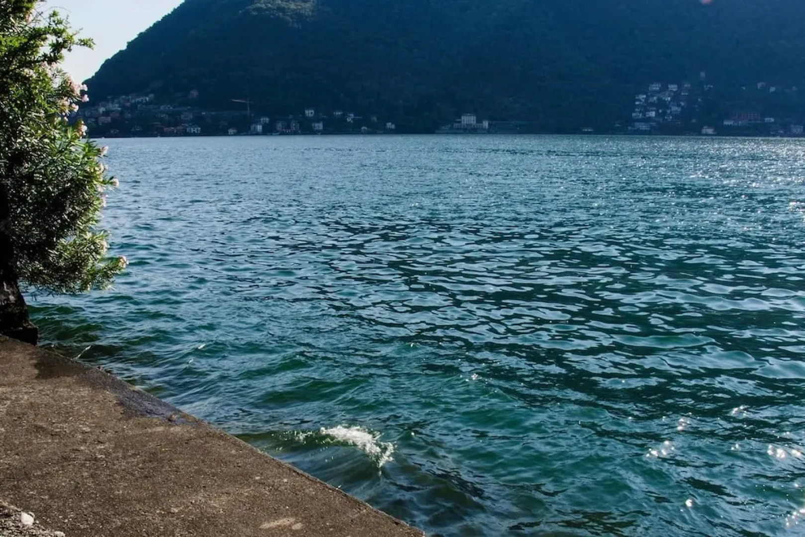 Altido House on the Lake Shore