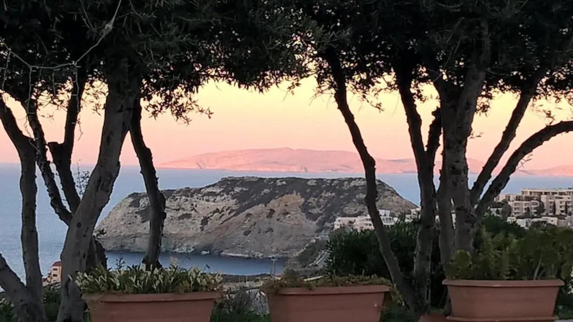 Bellevue Village Apartments Studios