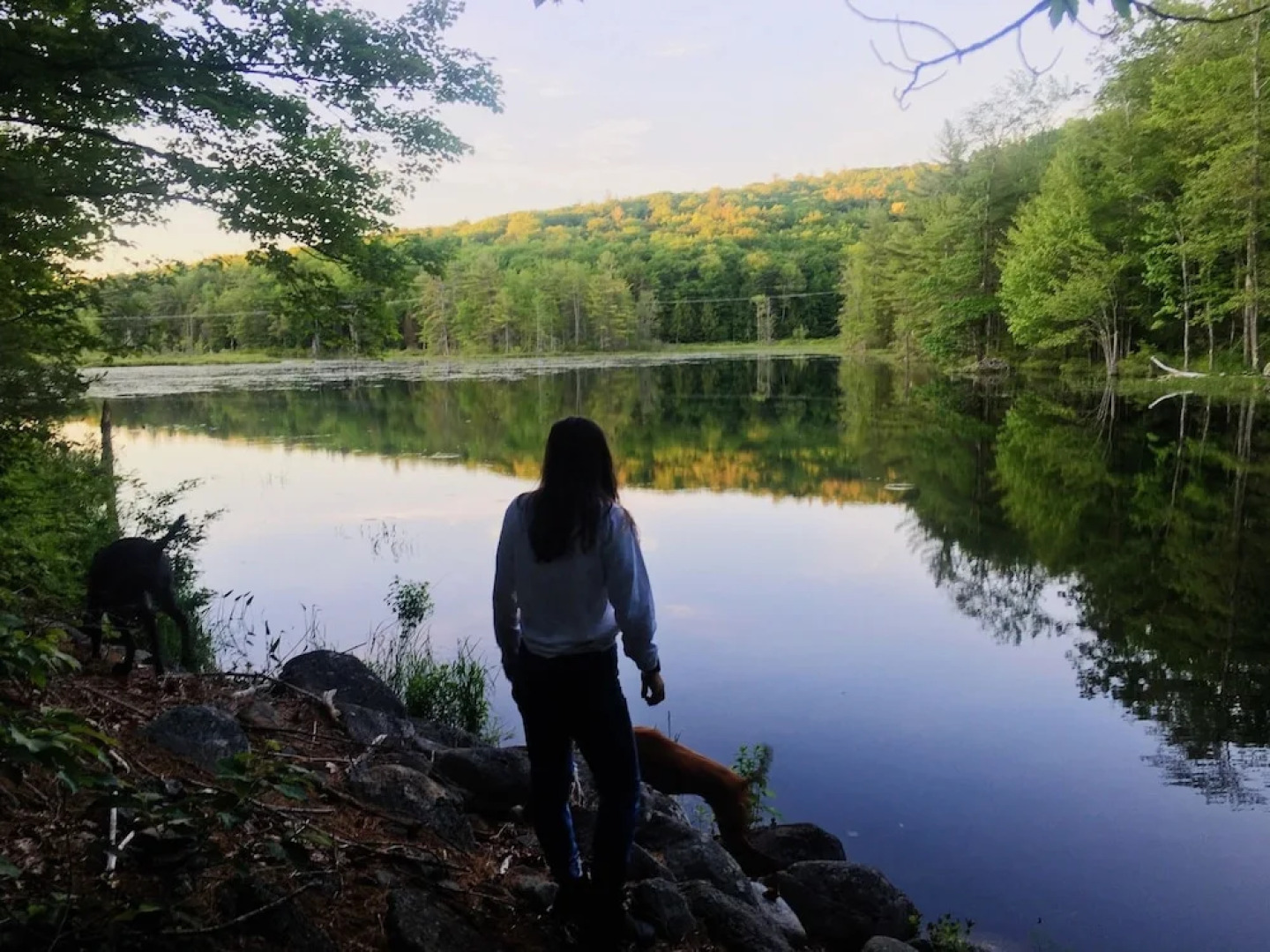 Tentrr - The Lost Boys Hideout