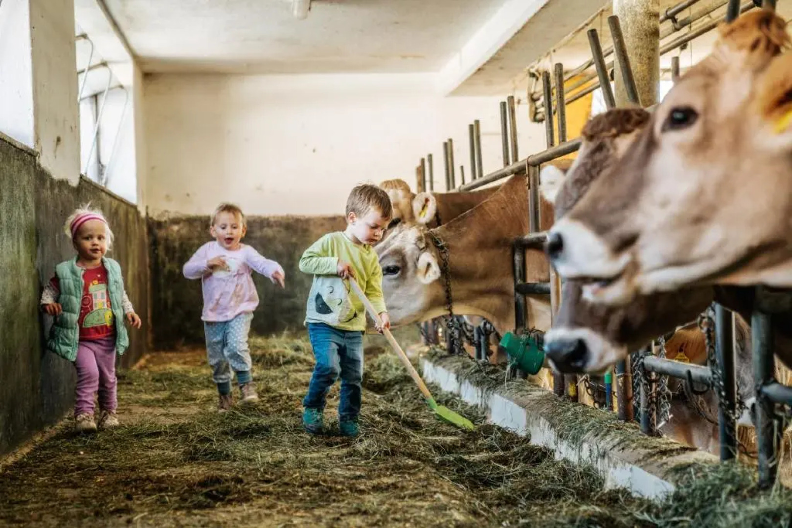 Linharterhof Appartement