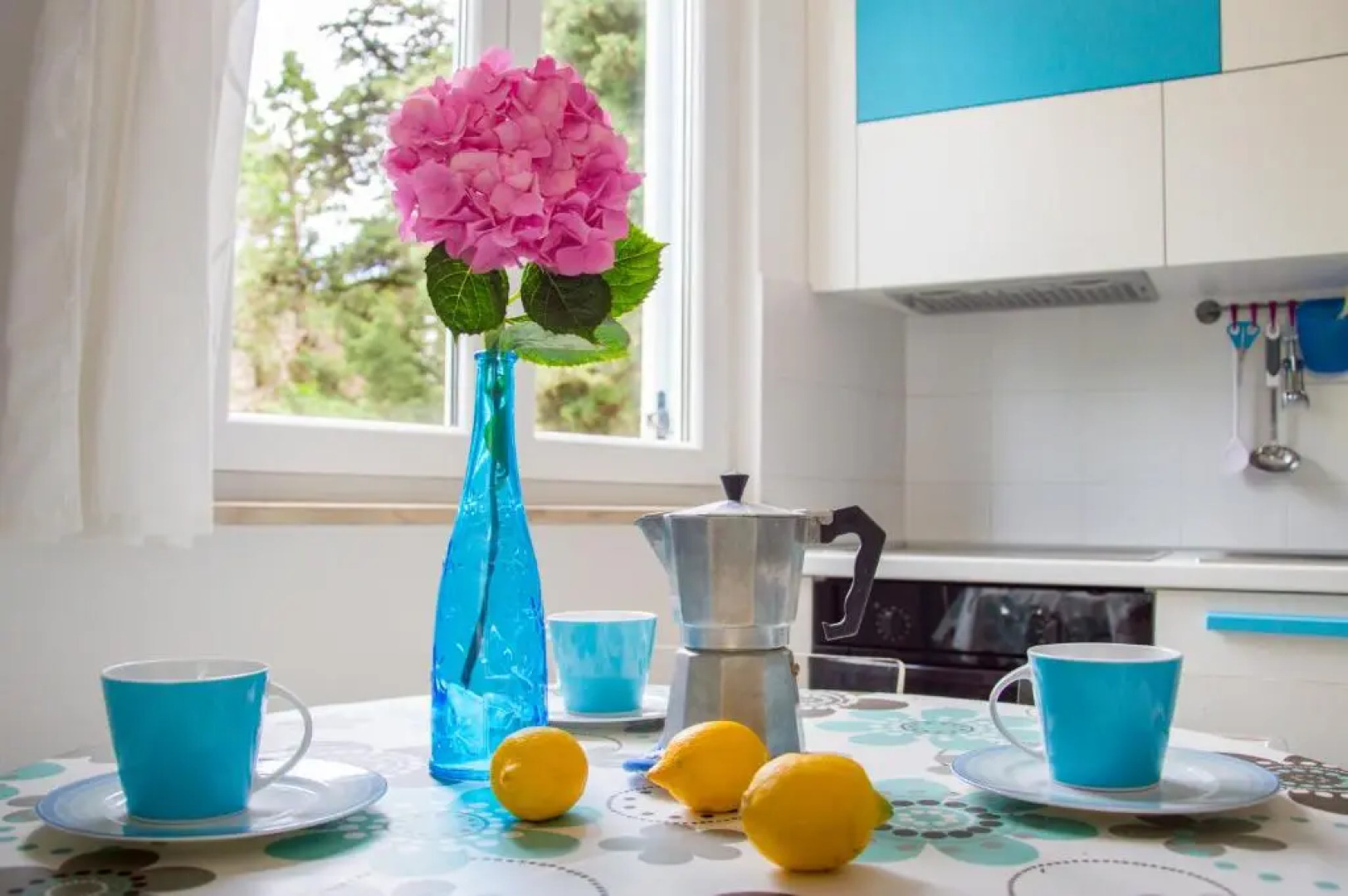 Apartments Punta by Sea