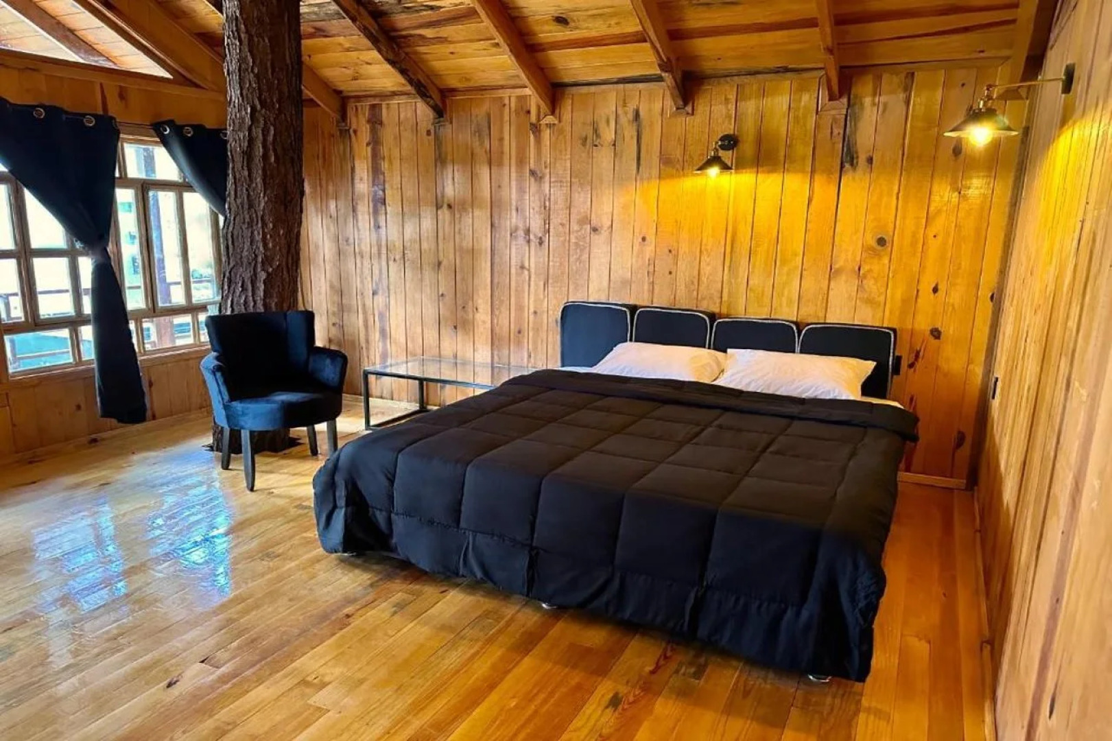 PINE TREE Hotel Boutique & Cabañas