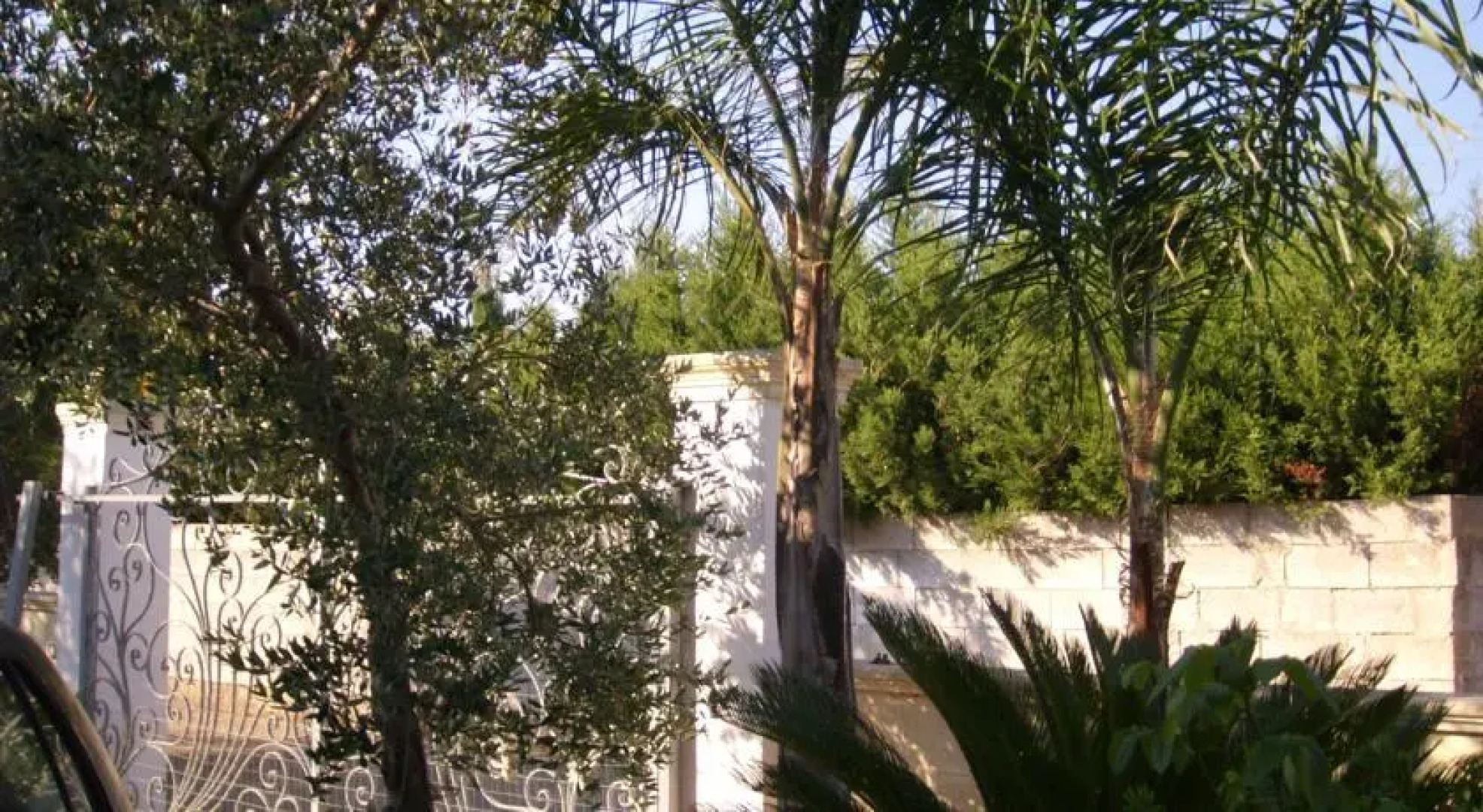 SalenTiggiano Villa Ulivi