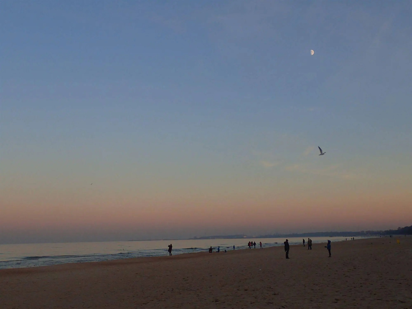 Apartament Nadmorski Sopot 1