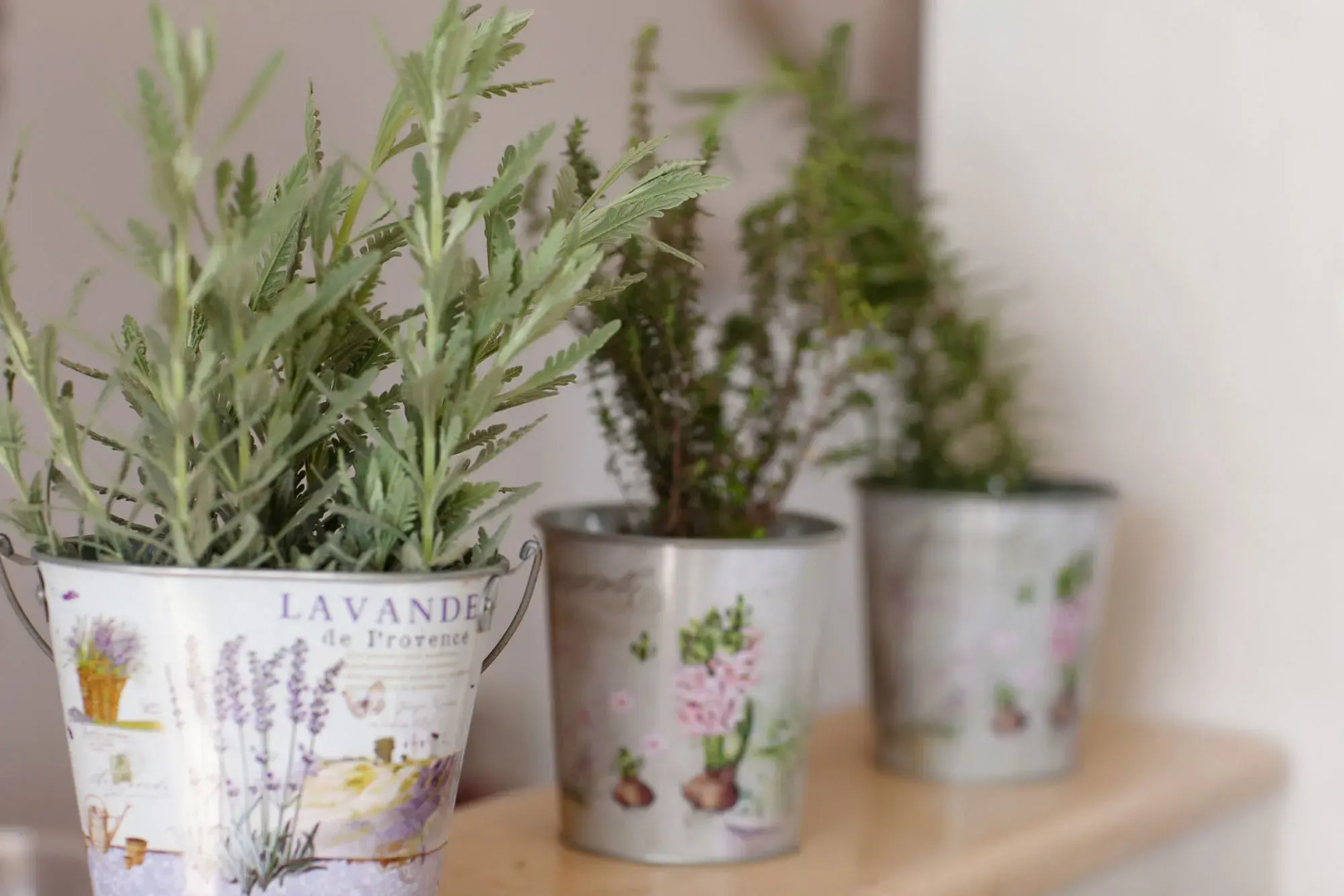 Petra Thea Apartment