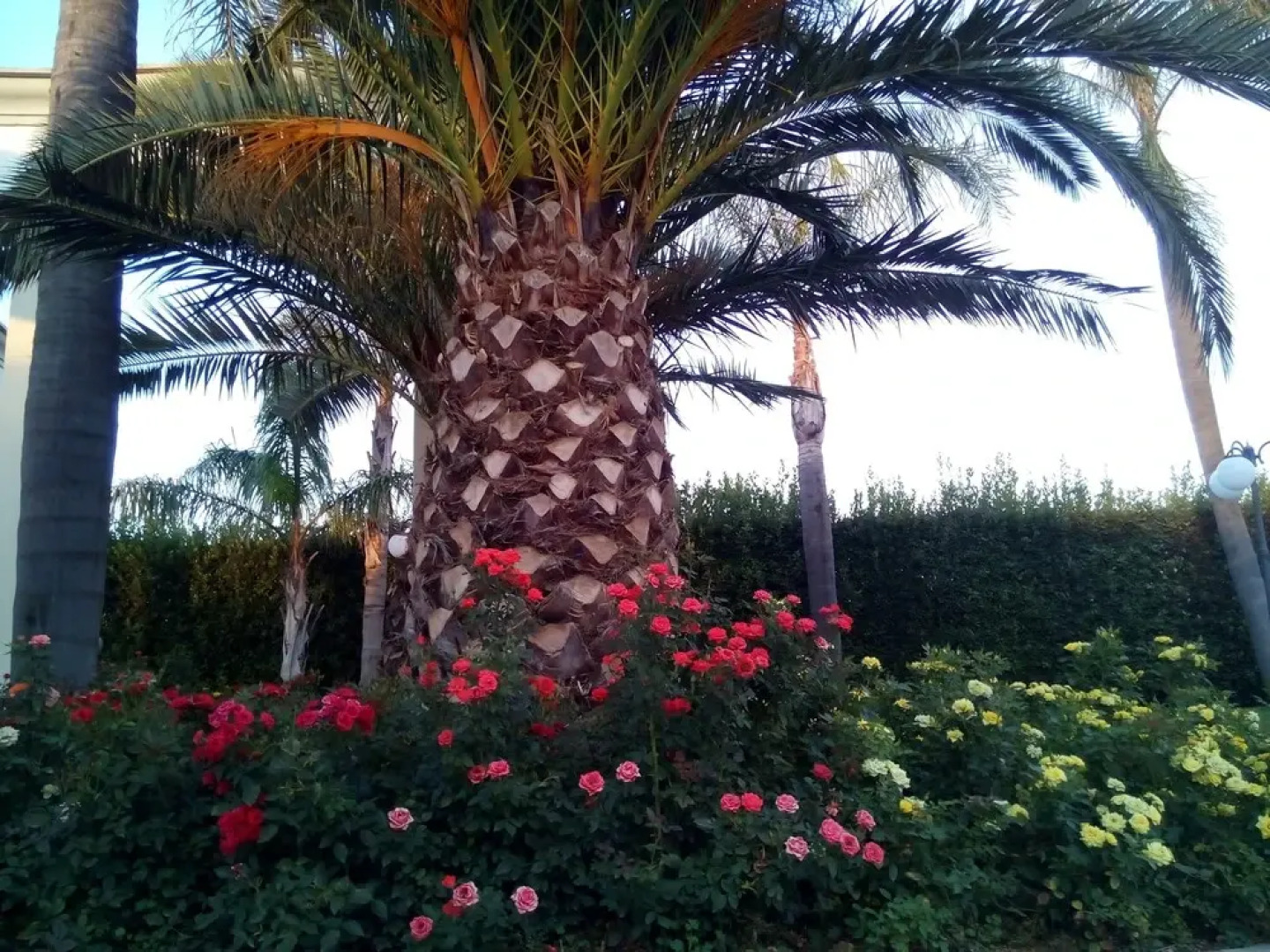 Relais Marchesi Imperiali