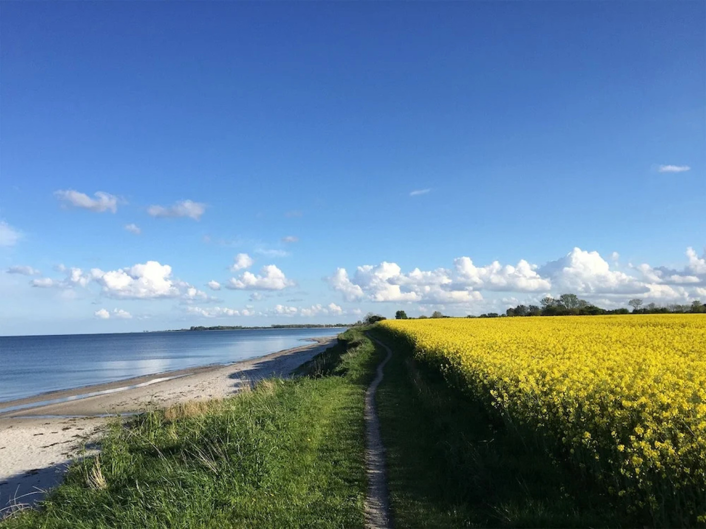 Intercontinental Family Home - North American Mediterranean Vacation Rentals