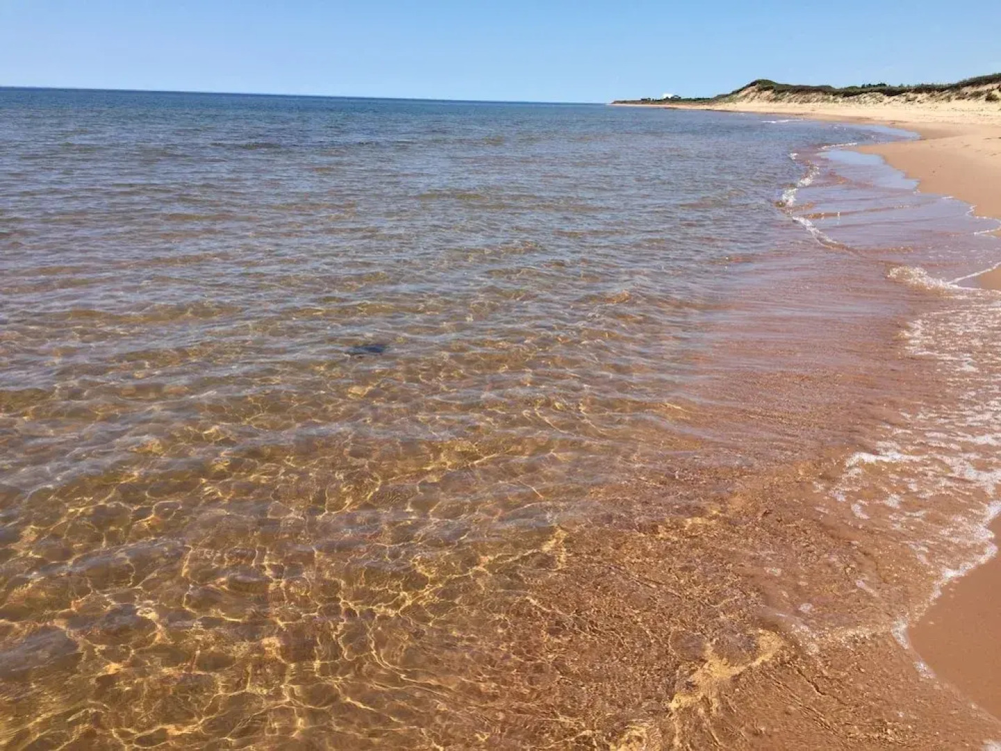 Greenwich Moonlight Bay Cottage