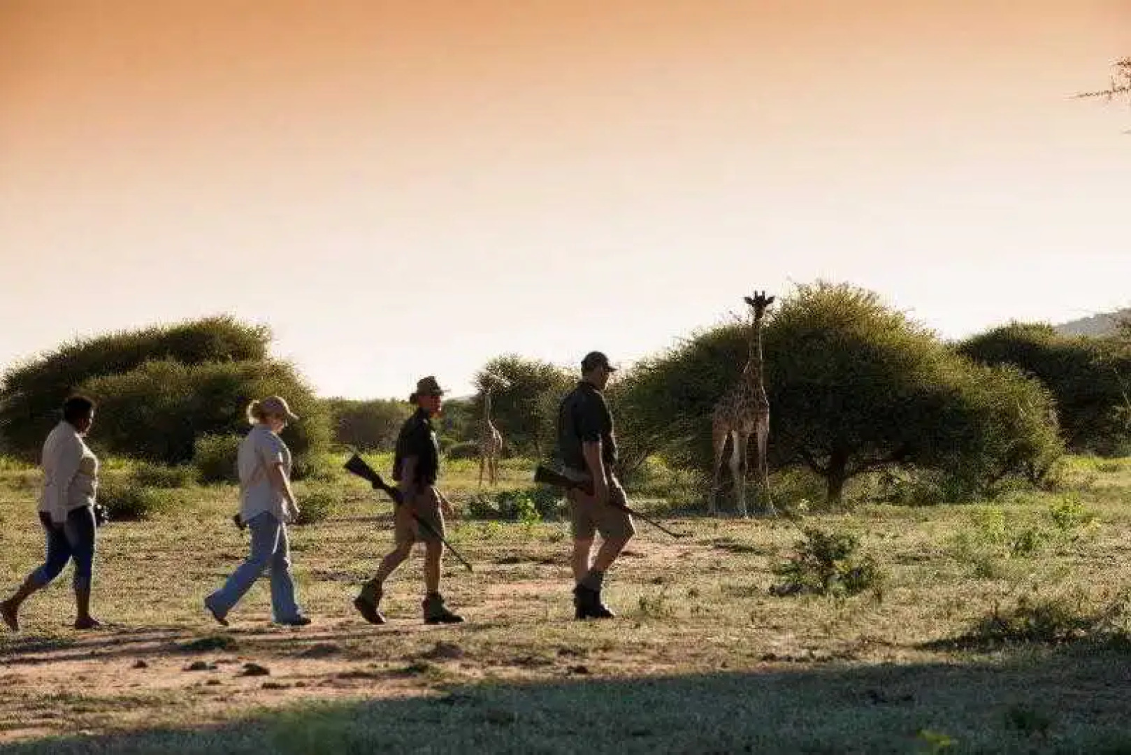 Marataba Safari Lodge